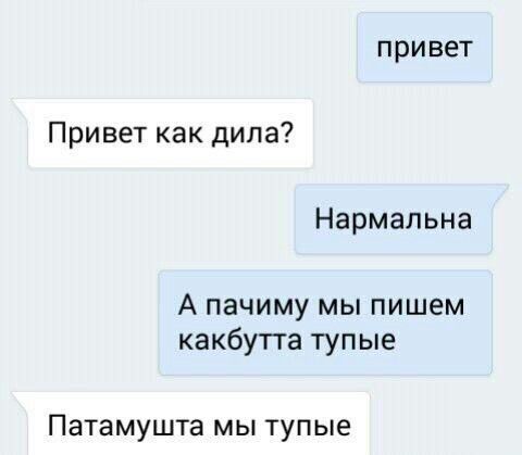 @тгк:русая🐈