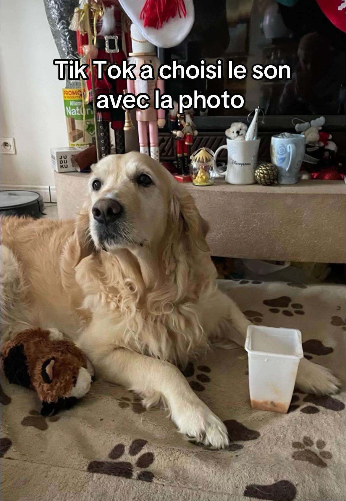 @Dans la vie de SARAH ☀️
