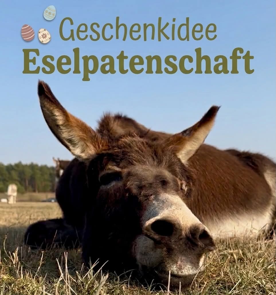 @Eselfreunde im Havelland e.V