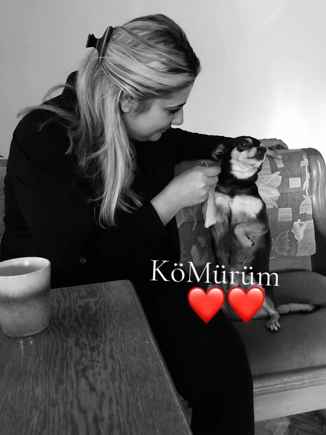 @🌸 Eli Stefanova 🌸