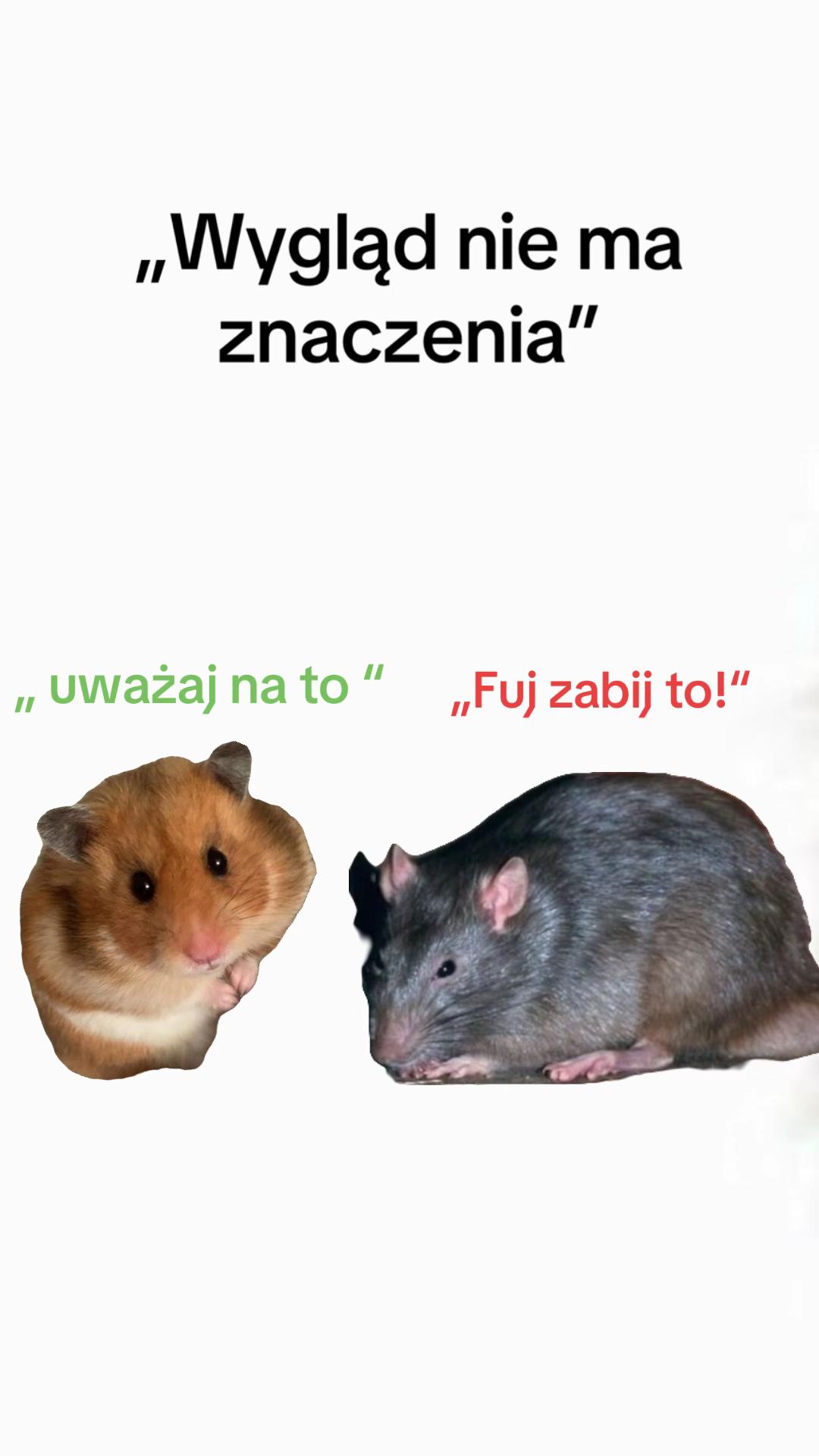 @୨ৎ𝓵 𝓲 𝓵 𝓪 𐙚౨ৎྀི
