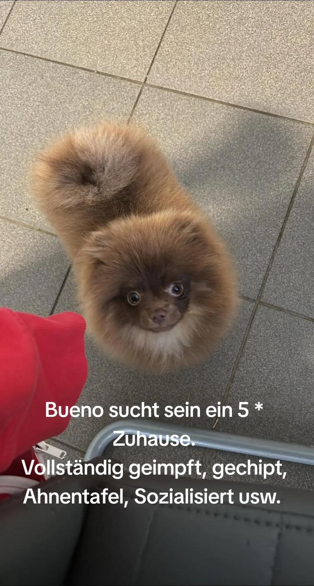 @Tanja
