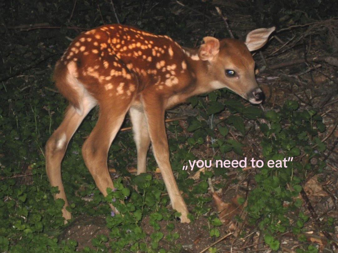 @user294738292