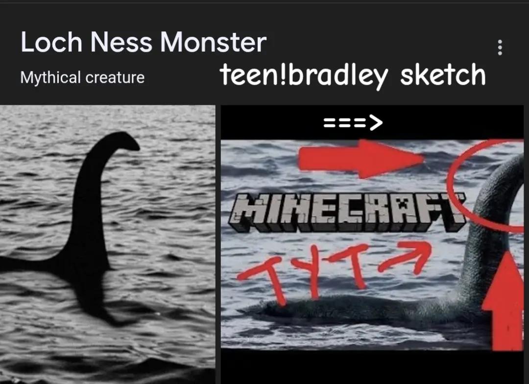 @бердли ловер‼️