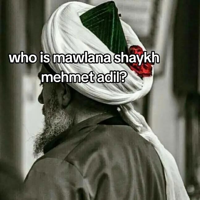 @mureed