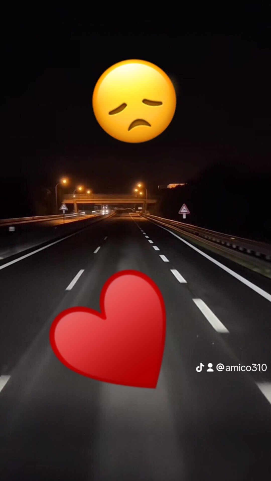 @amico310