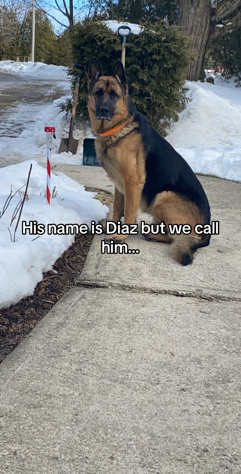 @Lizzypoo
