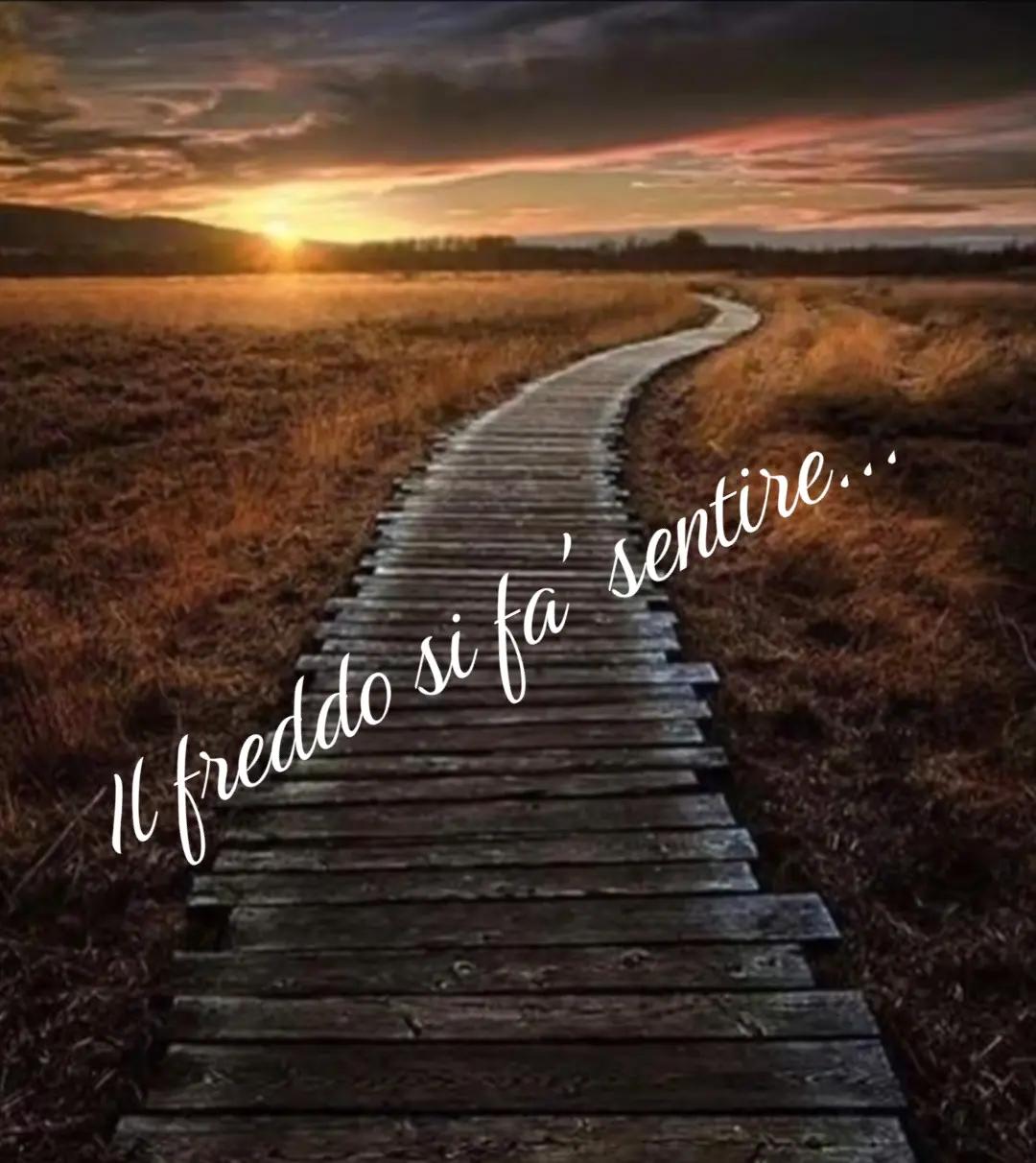 @paolocaronna1