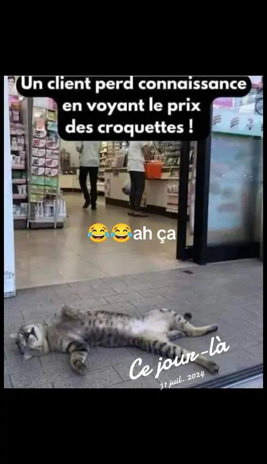 @Lameme chenquene