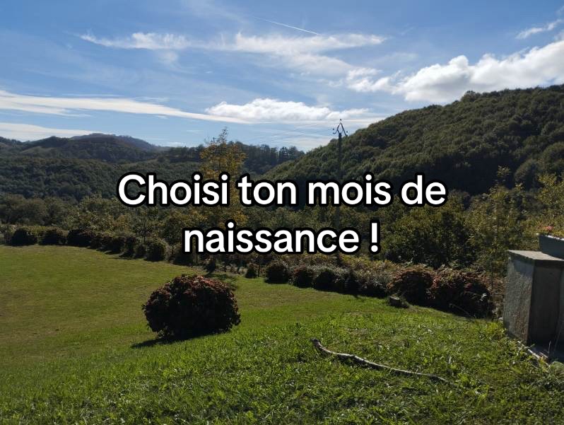 @zéno