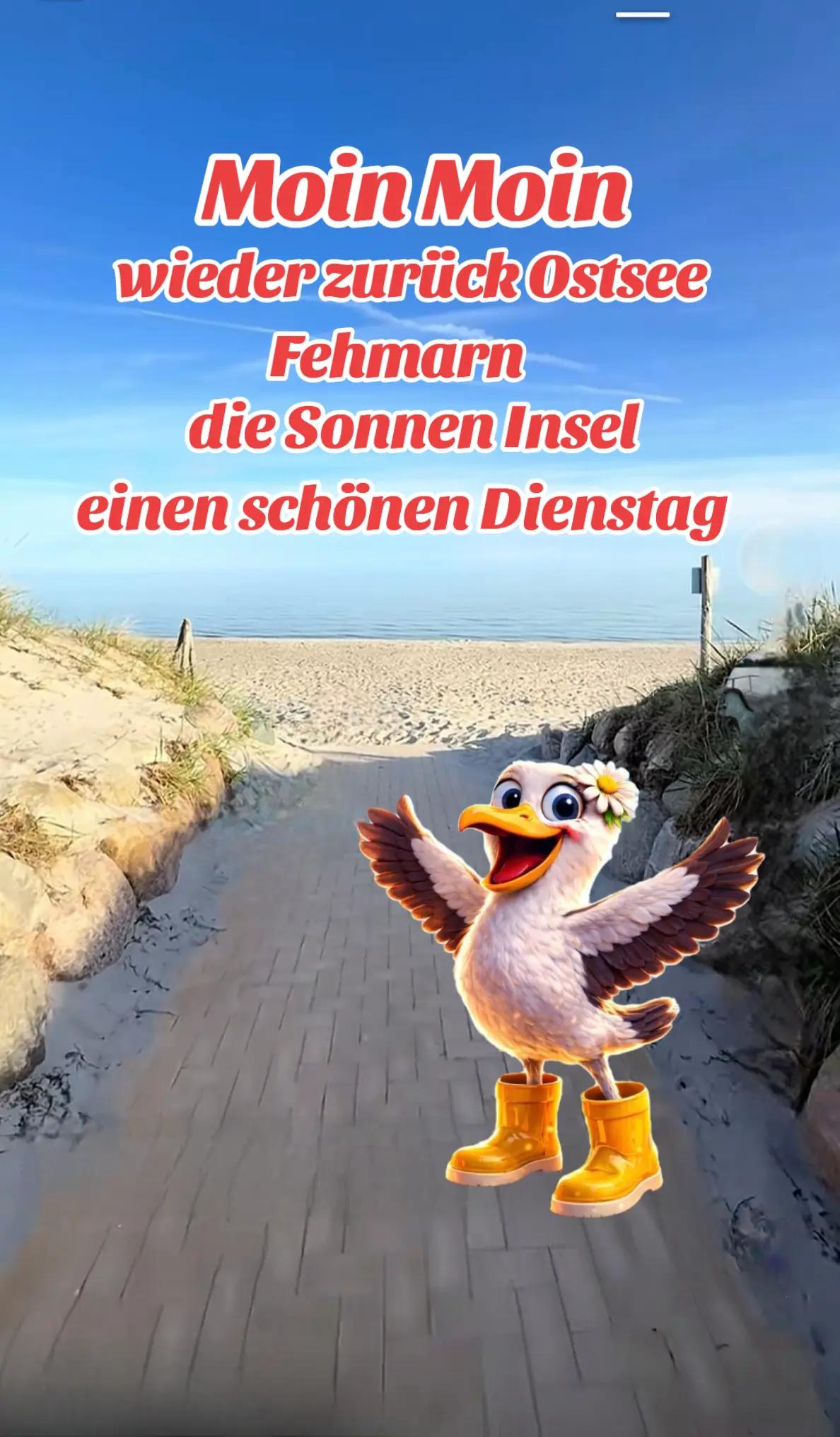 @geistlein12