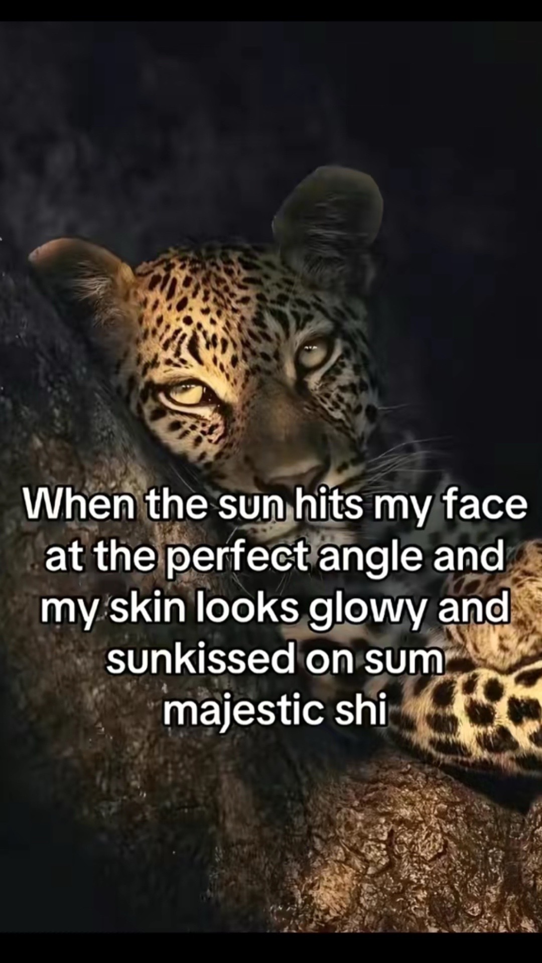 @araceliiiiii
