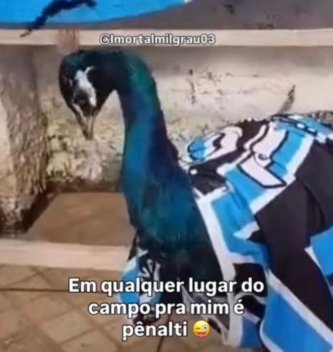 @Imortal mil grau🇪🇪