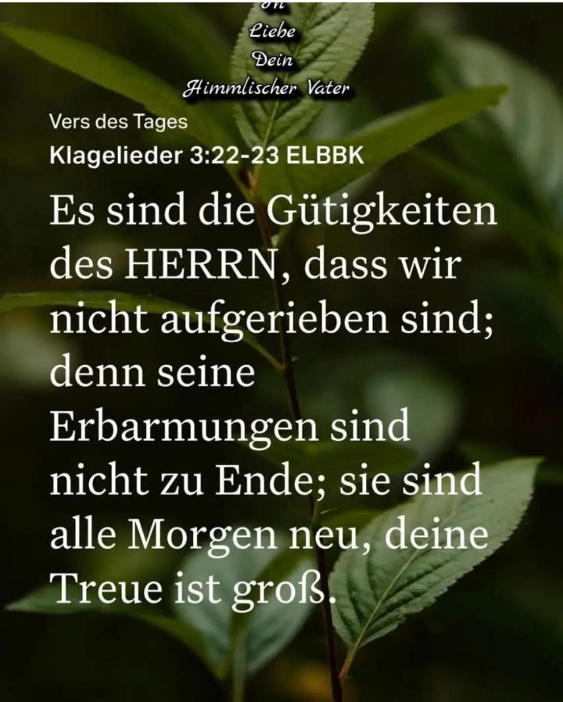 @Martin Geercken