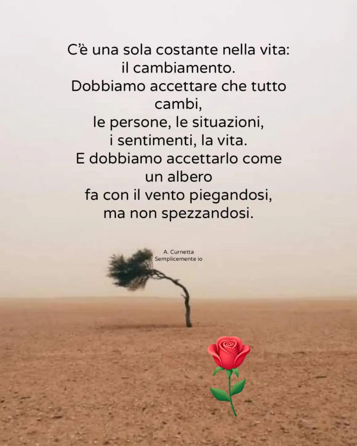 @Lory🌹🌹🌹