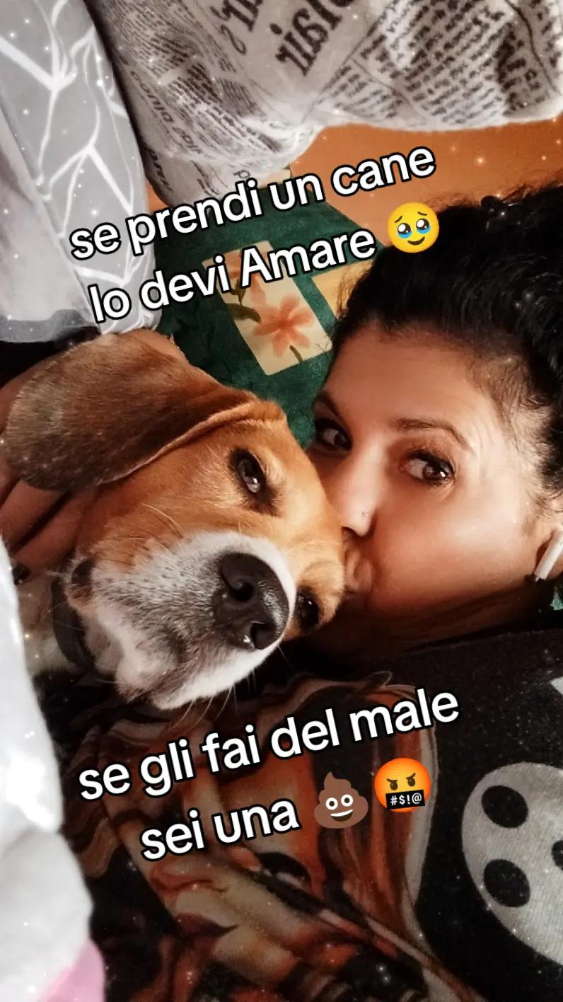 @♥️ POLLY ♥️