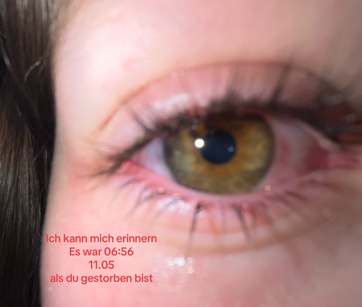 @๐๐๐๐ง๐๐ซ๐โ