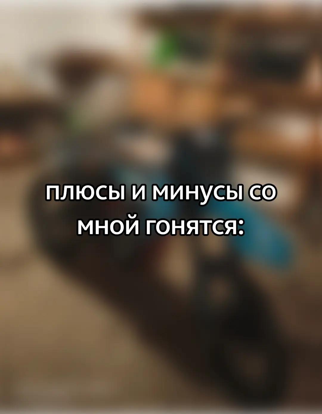 @казанский леопард