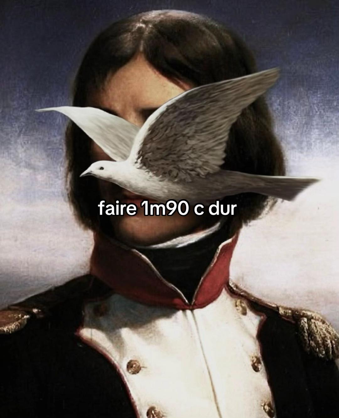 @Fakemitraillette2014