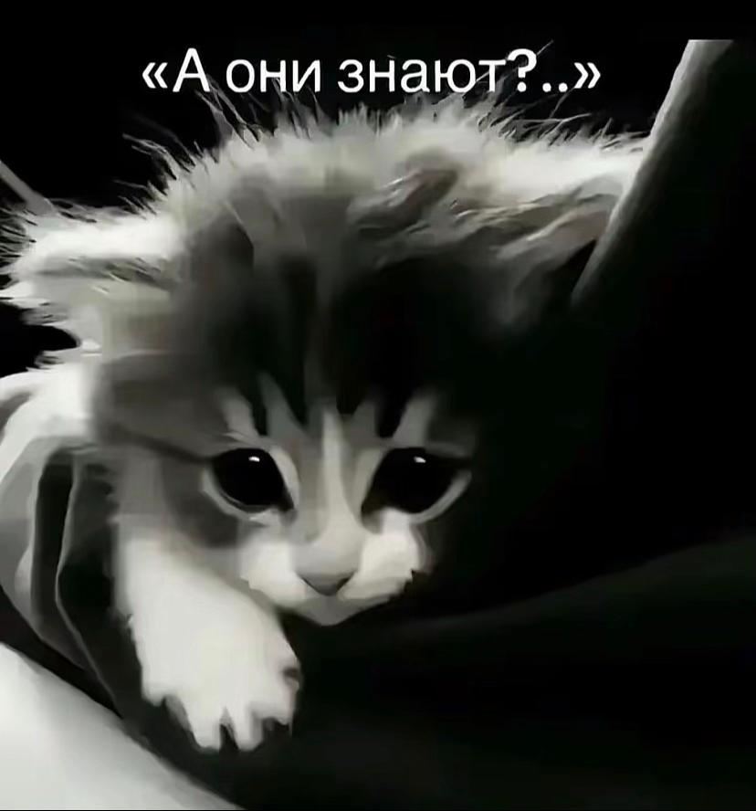 @щп