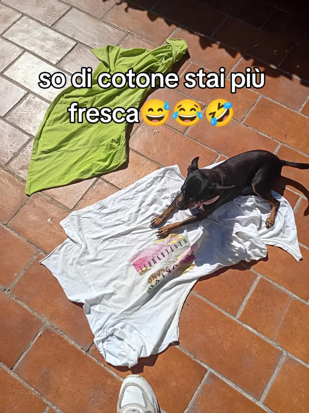 @misteriosa
