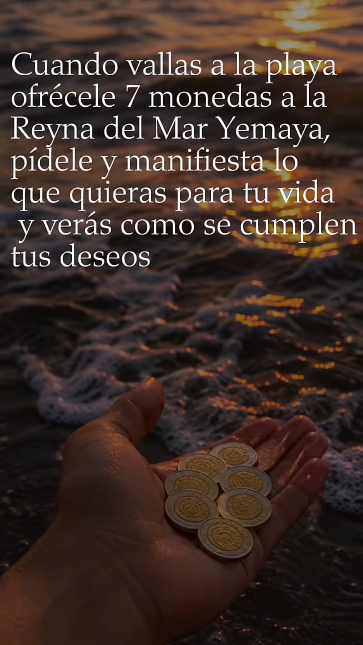 @Pedro Cruz