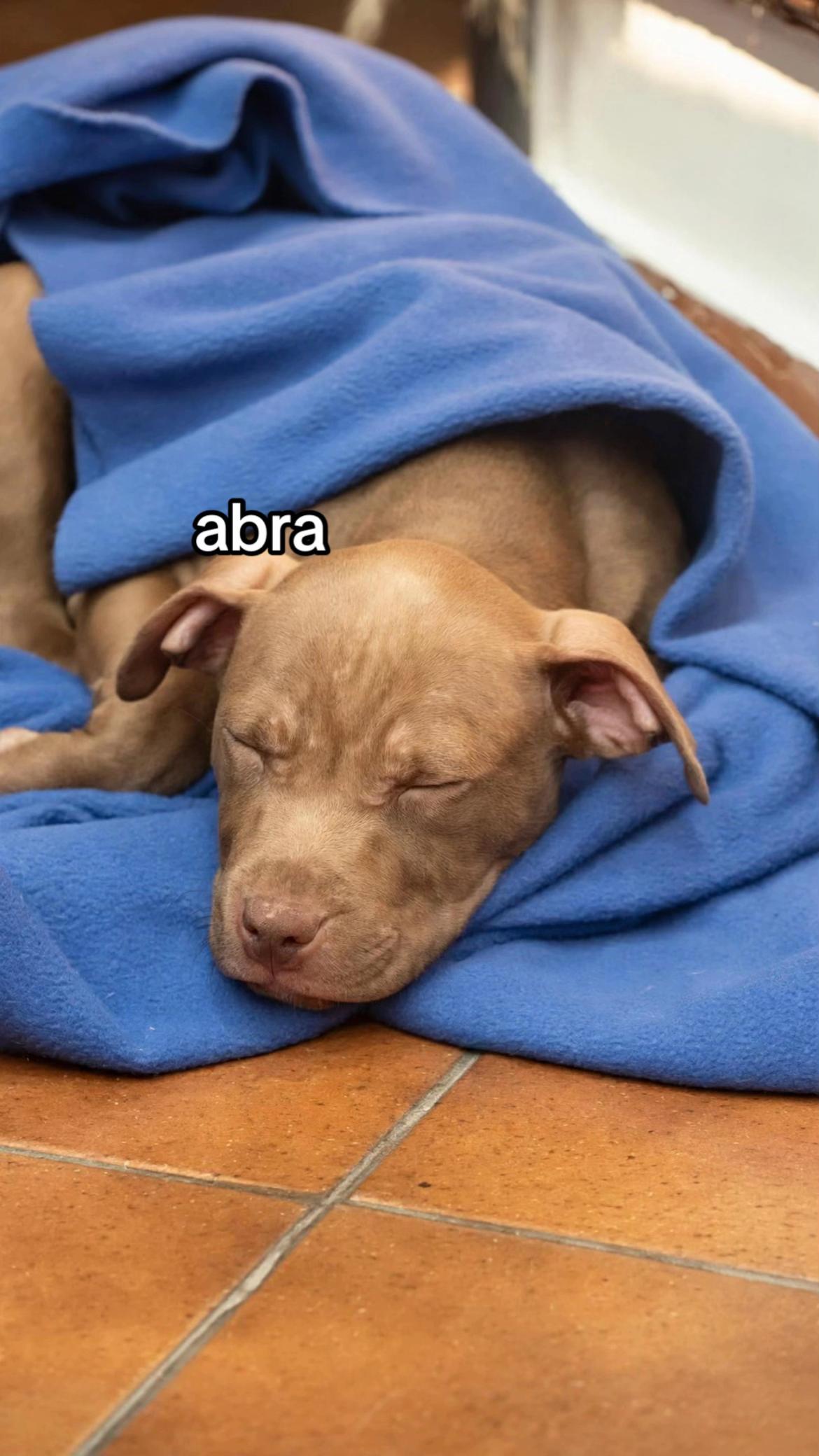 @EVA
