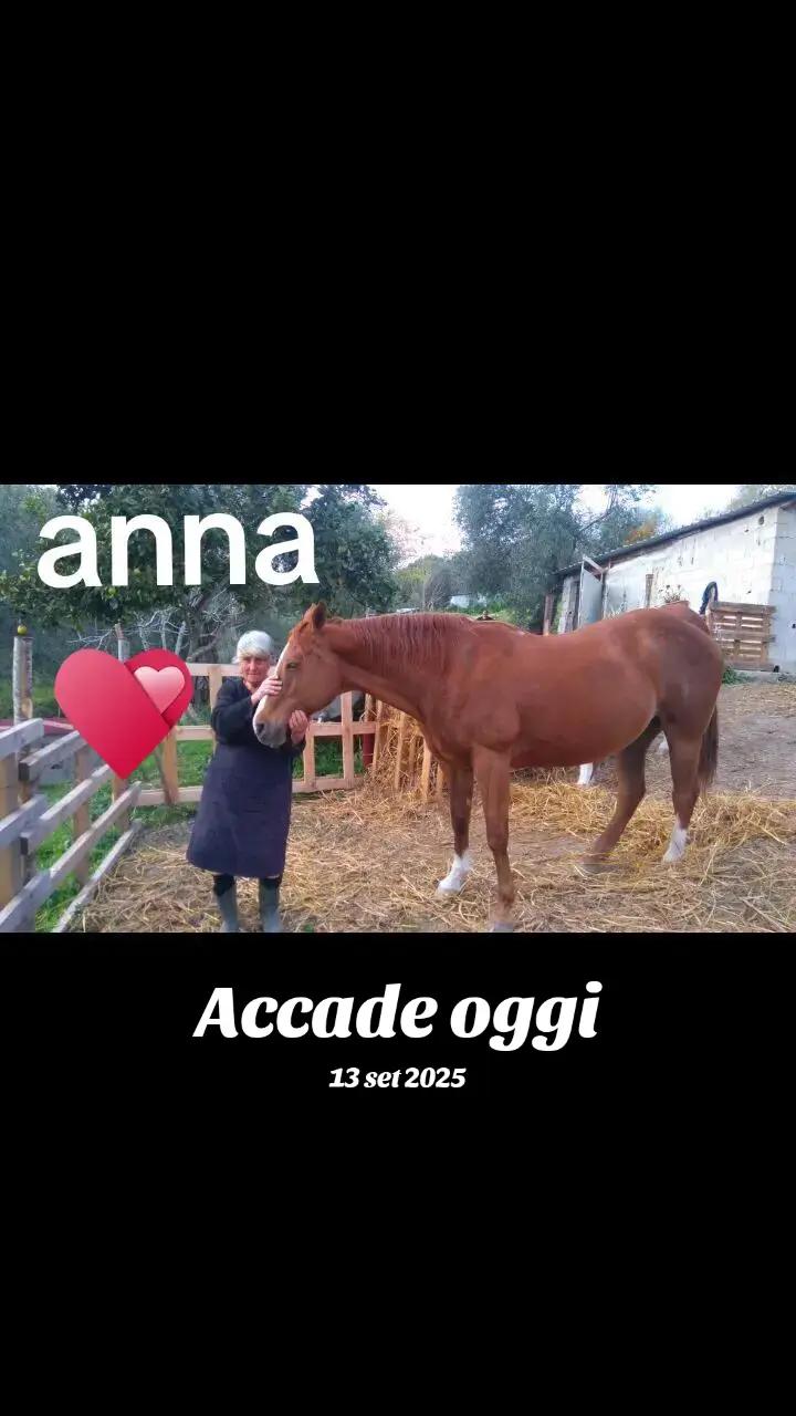 @Gregorio Pannace