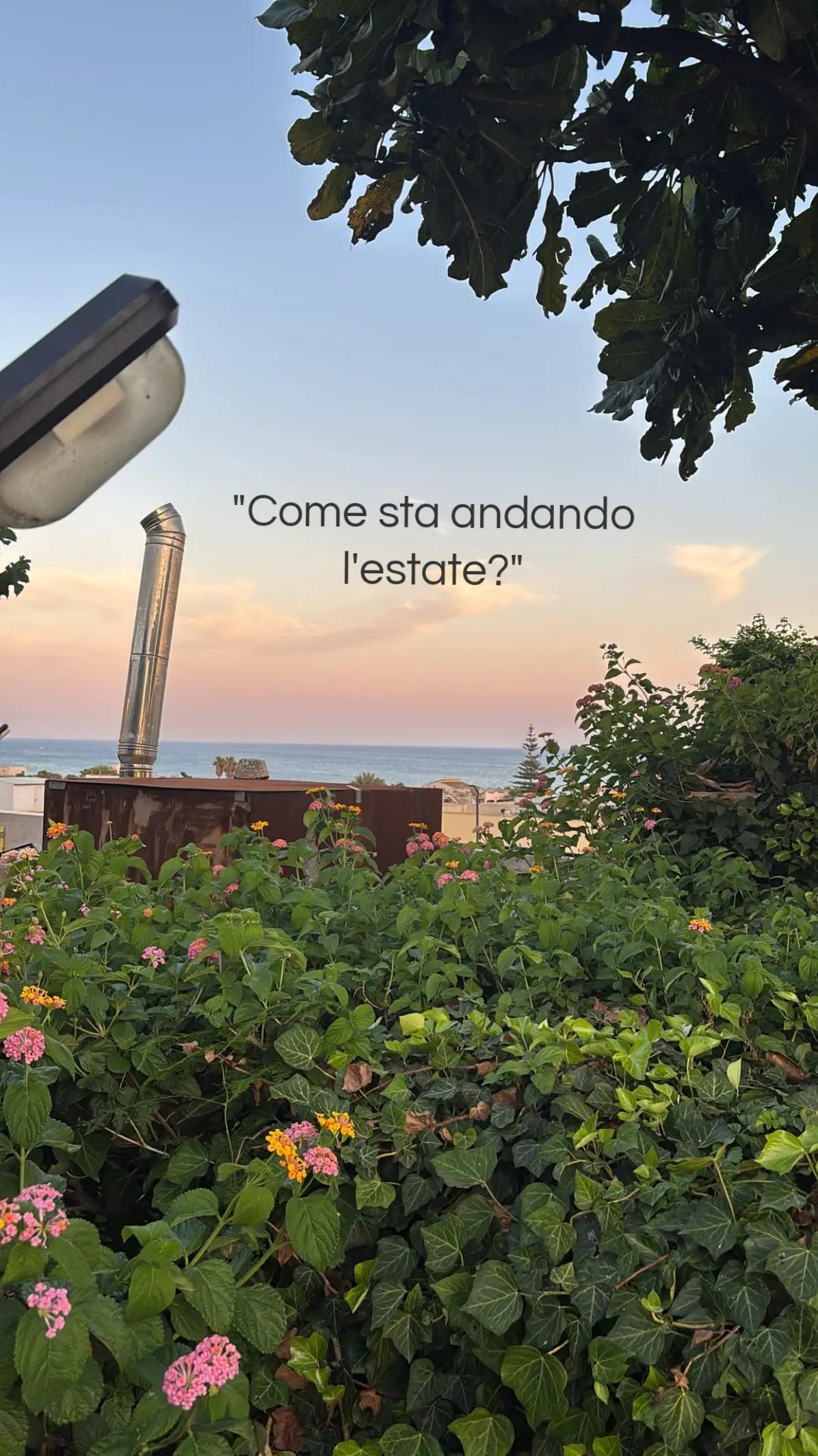 @🤍۶ৎ~𝗴𝑖𝑜~𑣲🤍