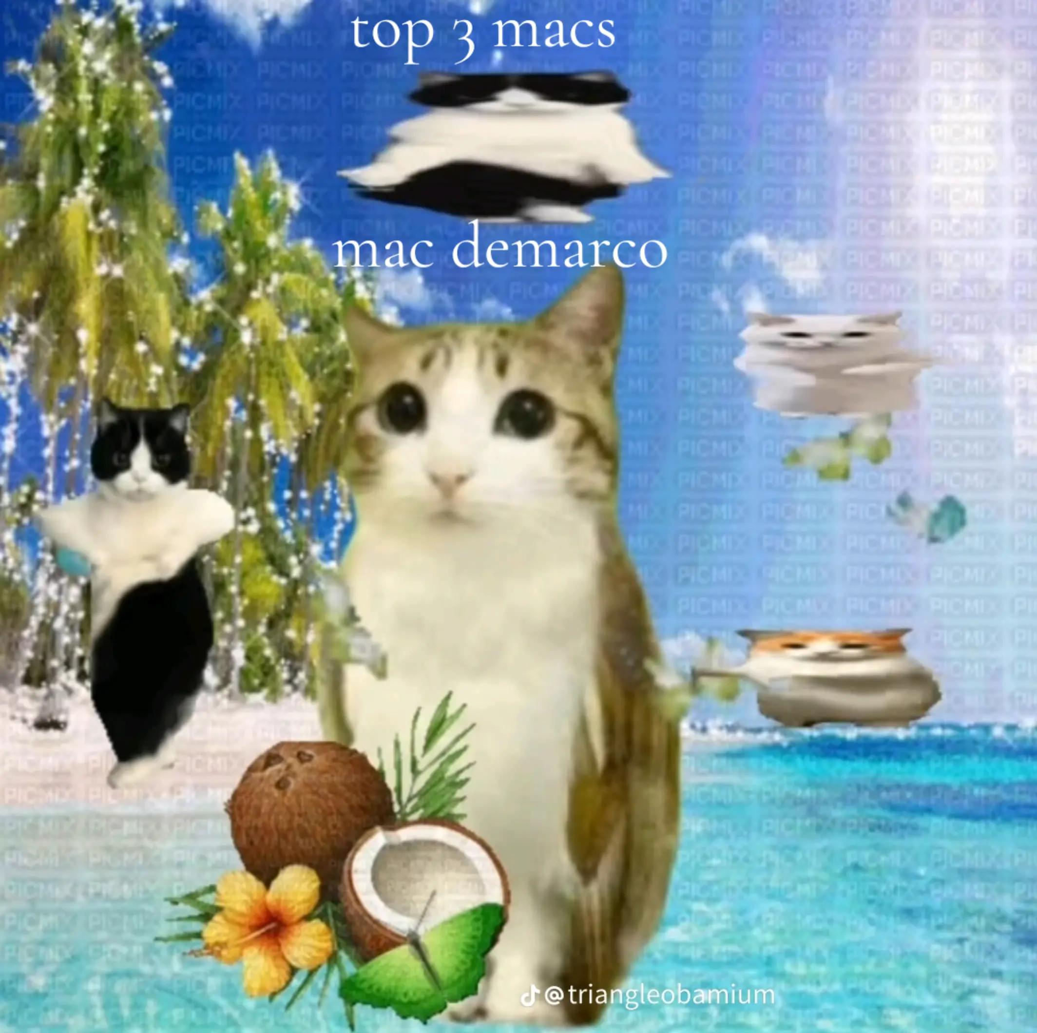 @nico