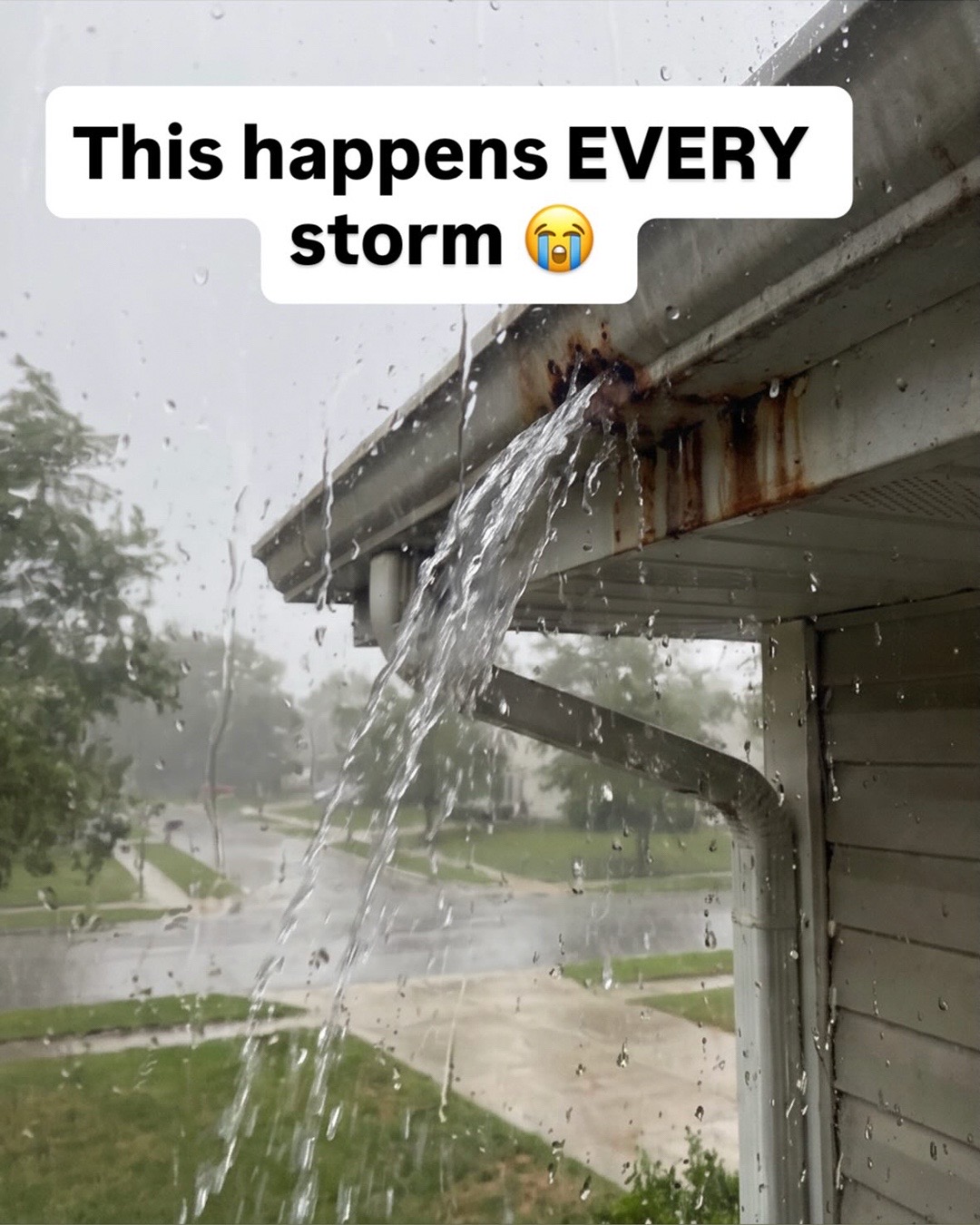 @Flex Seal