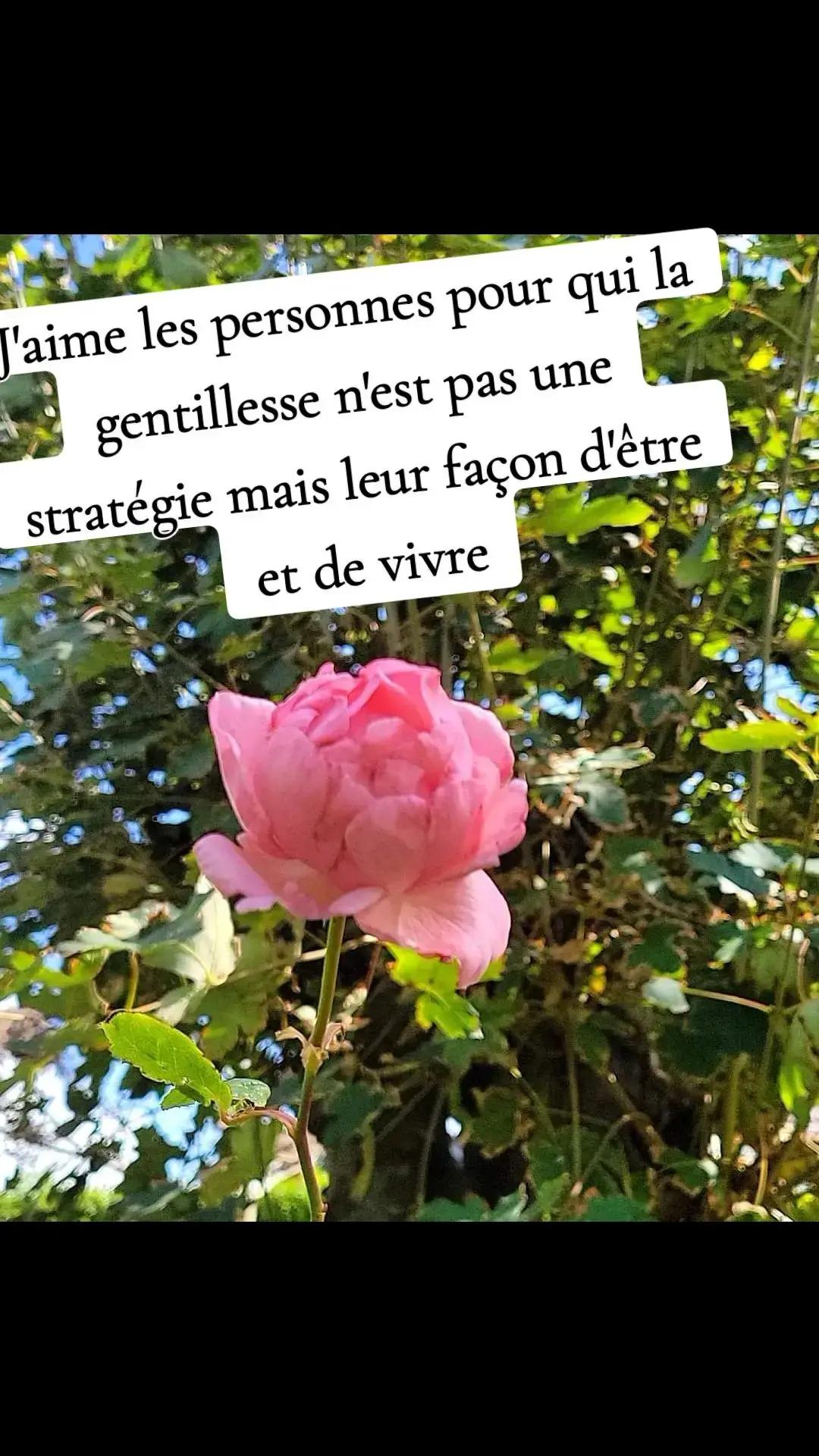 @🐬💚 𝓢𝓪𝓫𝔂 𝓝𝓸𝓾𝓻𝓻𝔂 ✨🌺