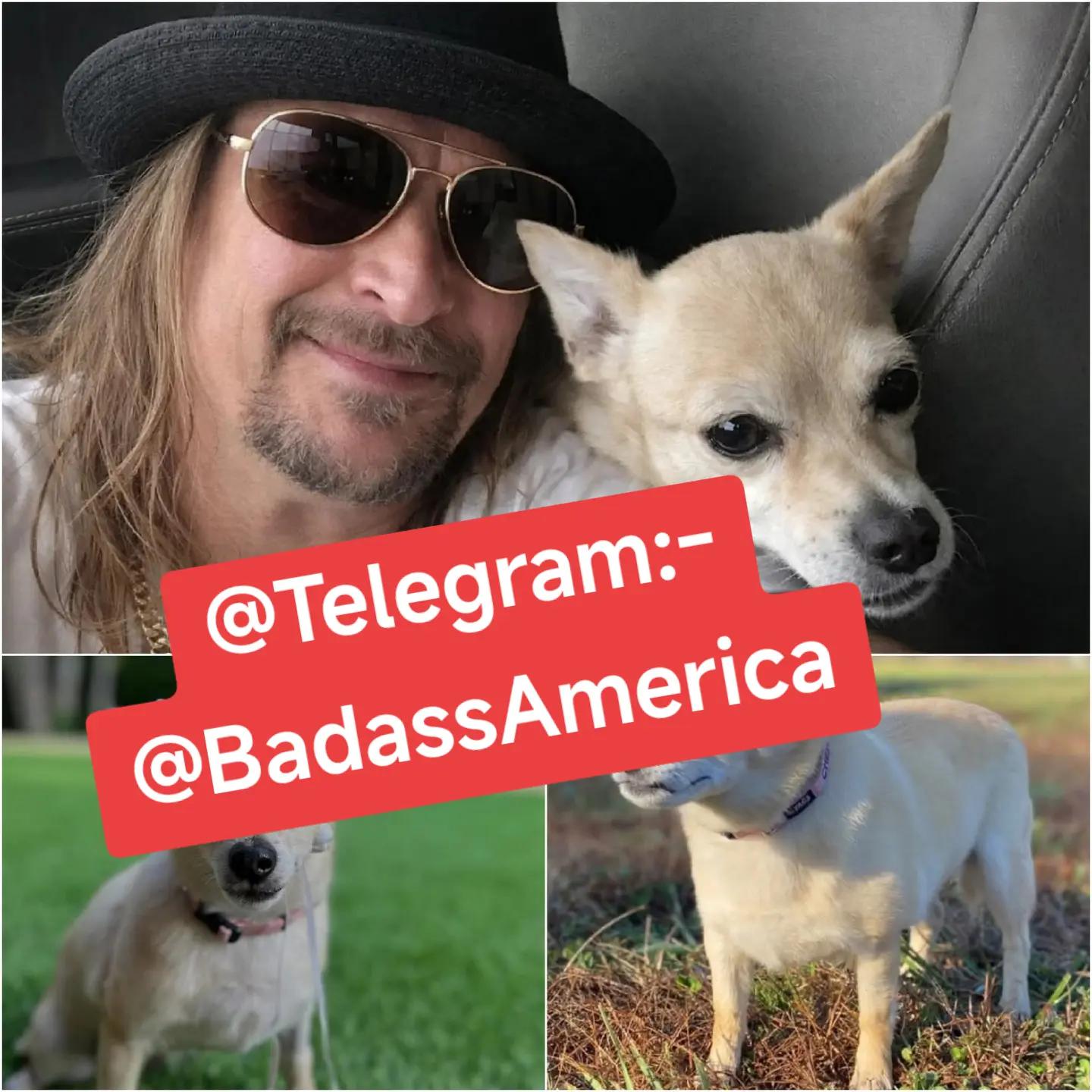 @Badass Rebel ๐