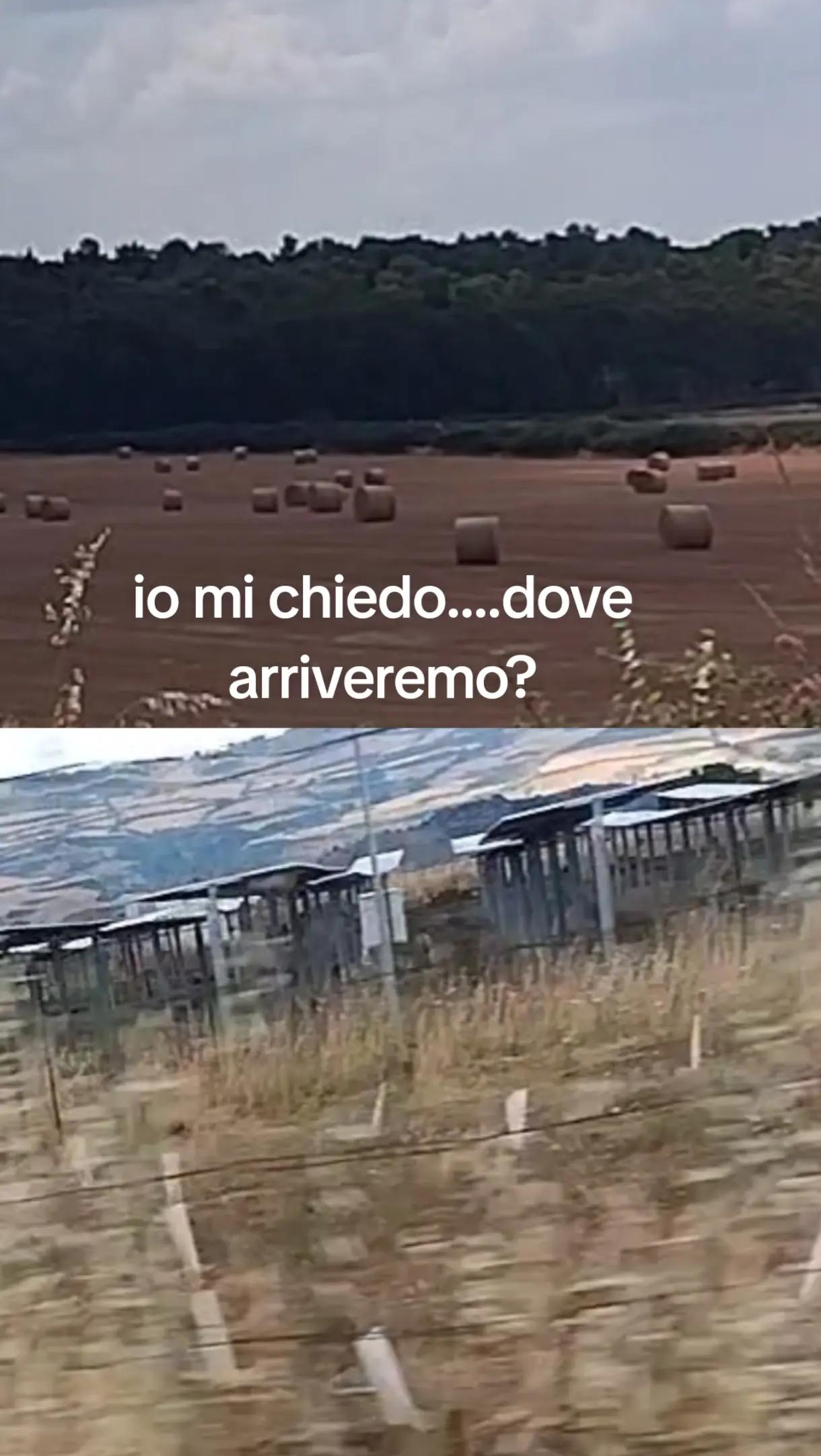@vincenzoparasiliti2