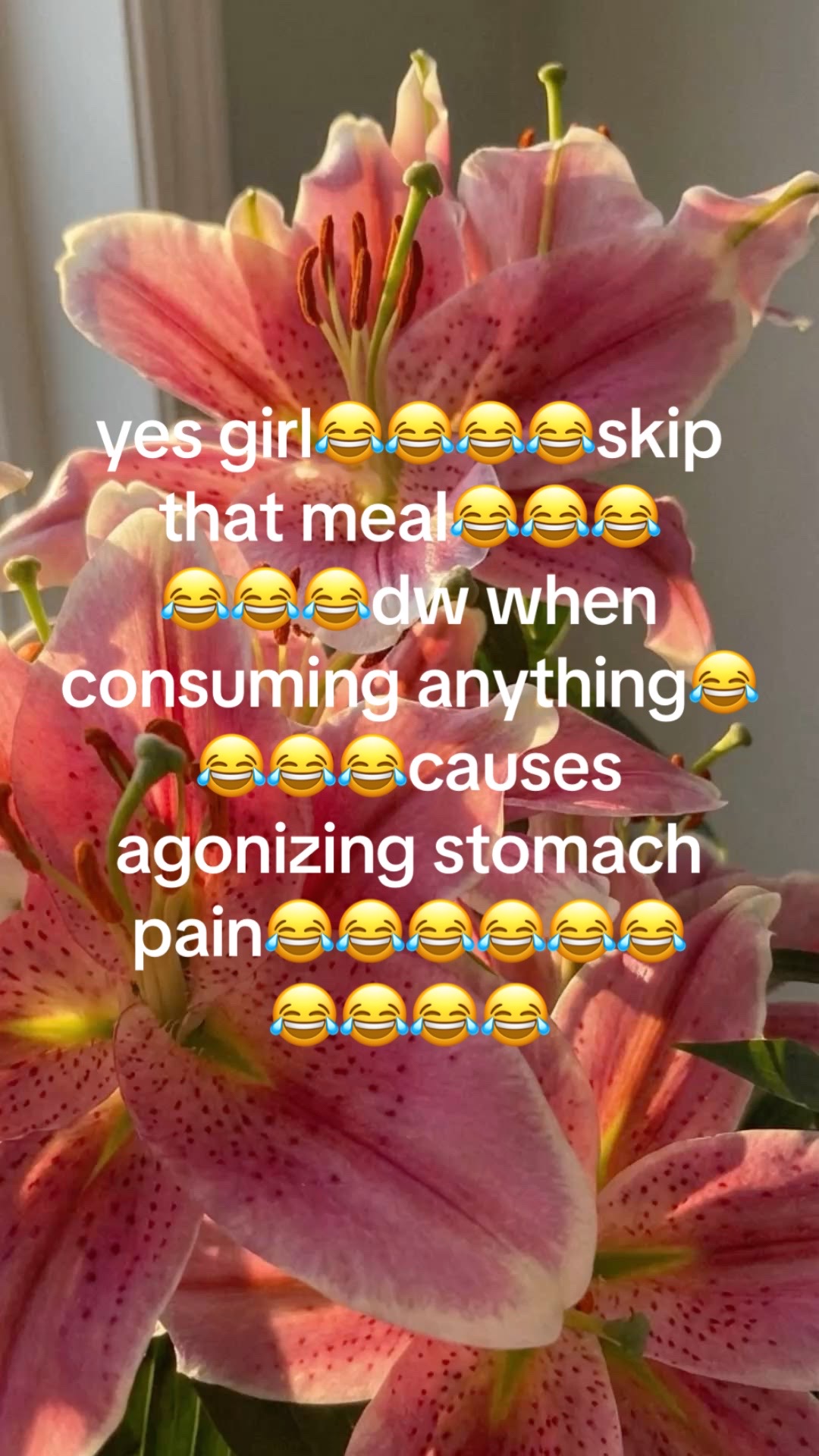 @🪽