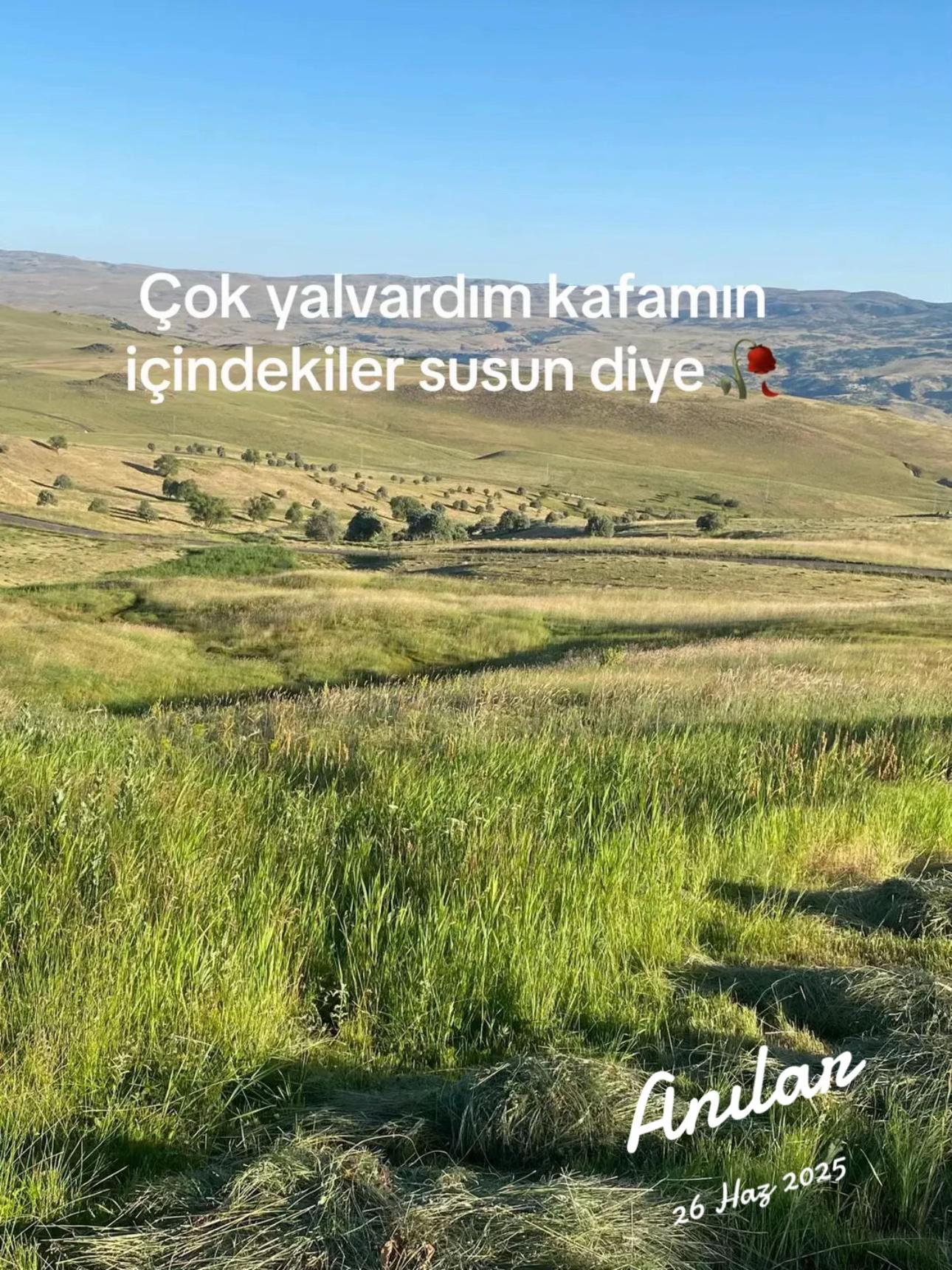 @DİJWAR 🕊️