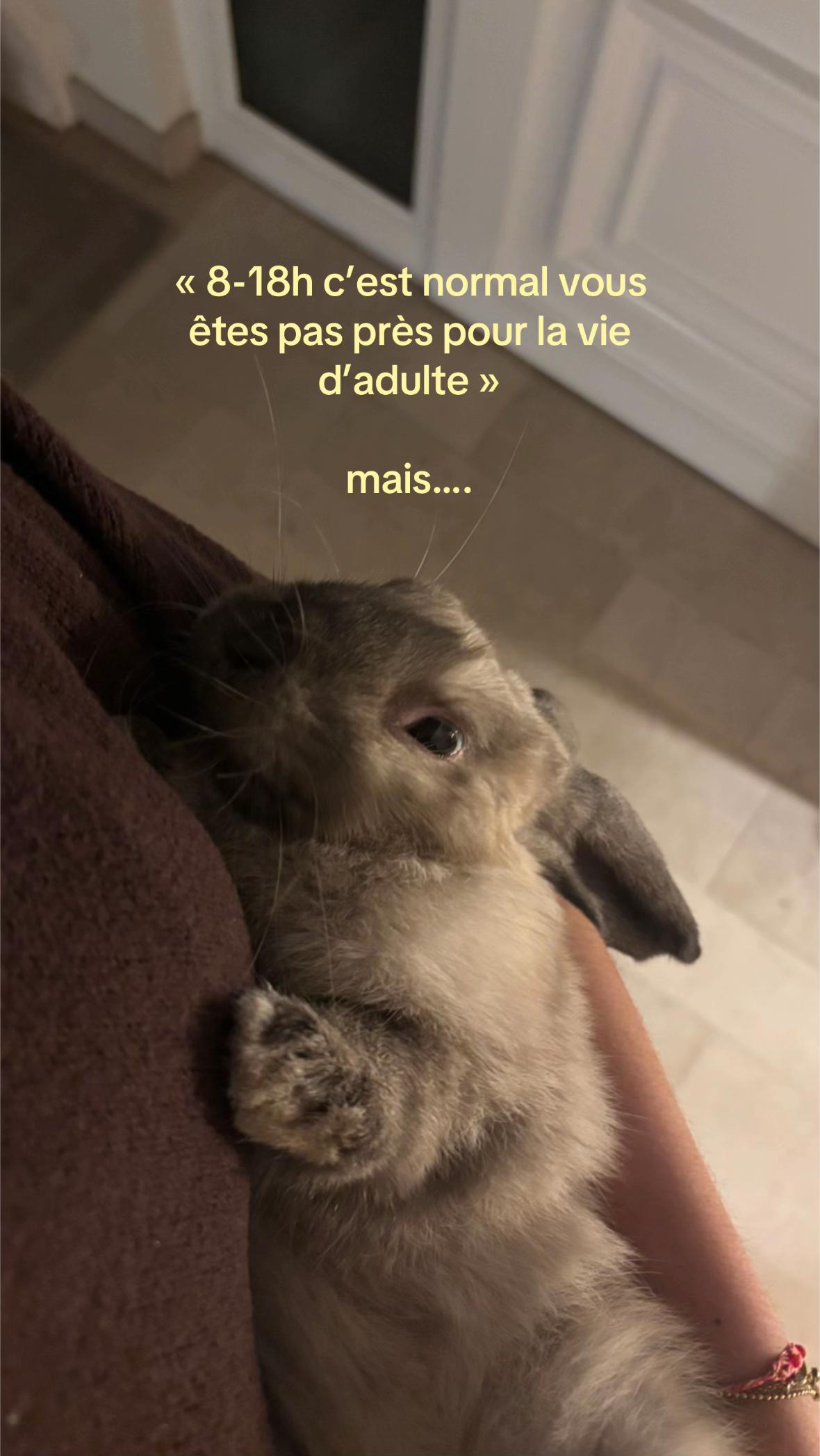 @𝐾aren