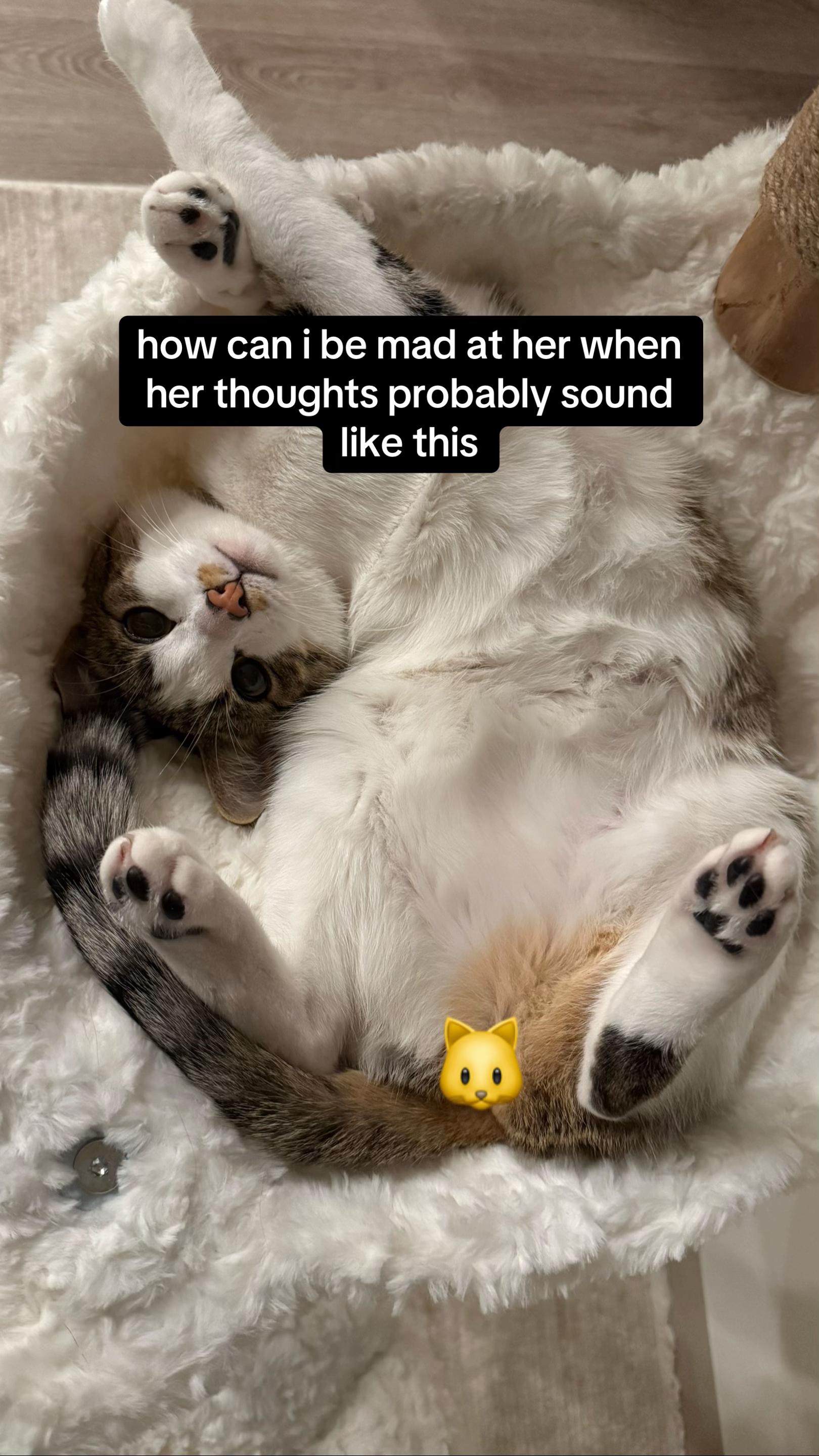 @chlo&eacute;_el_eminem