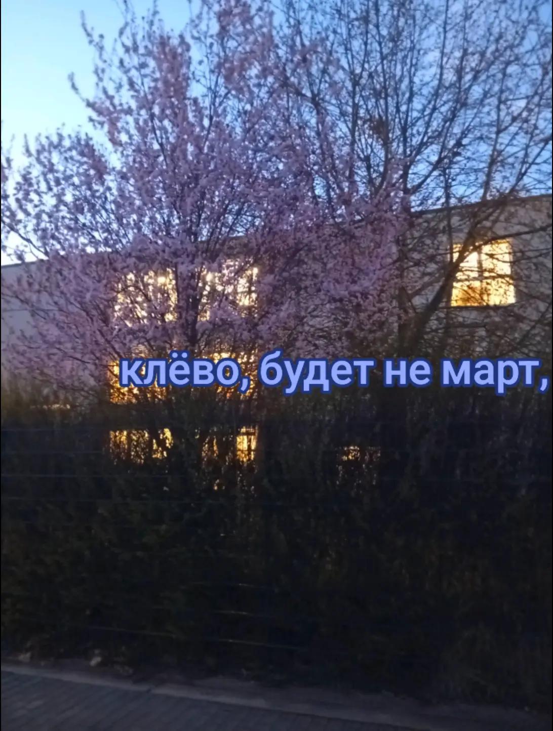 @ᴧᴇноᴧиуʍ🪽
