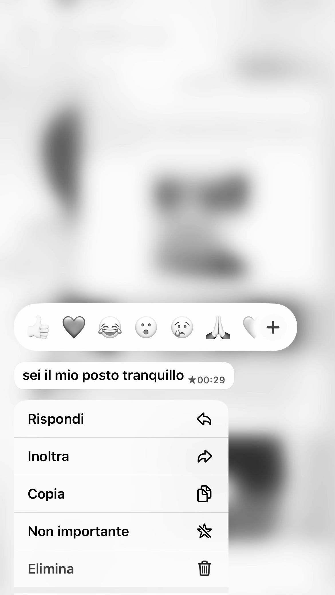 @Vittoria