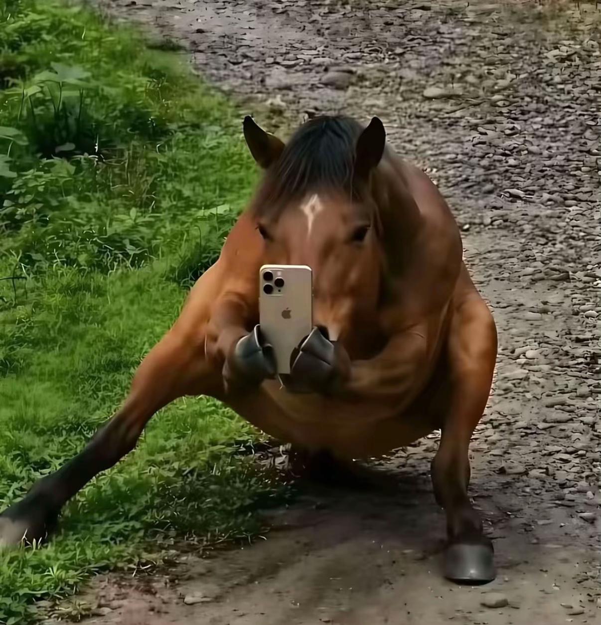 @gh_landwirt
