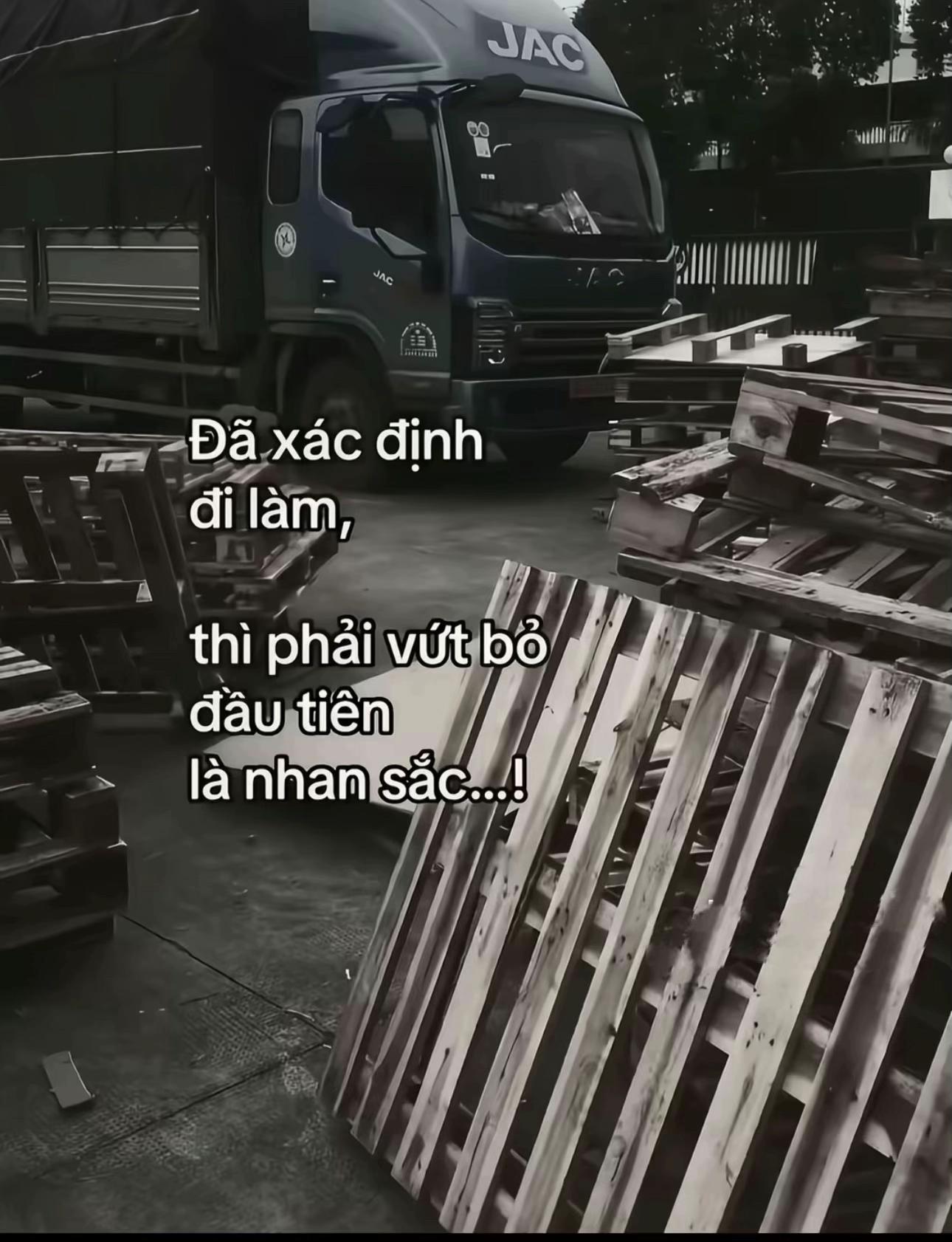 @Hoắc Chi&ecirc;u Long 🐲