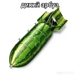 @Unnamedremark08