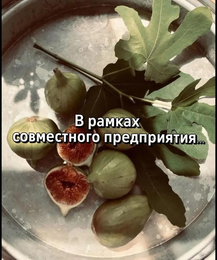 @тгк Апельсинка под мятой
