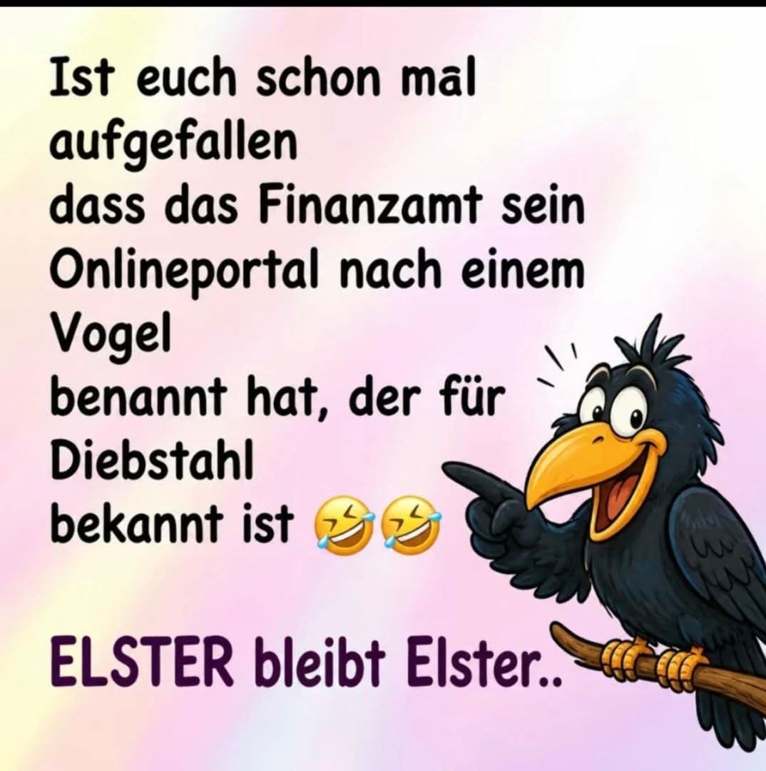 @gino