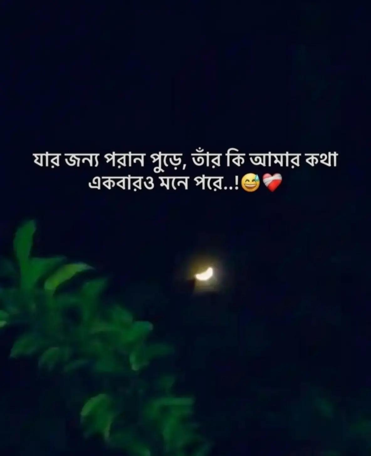 @Maruf billah 🌱