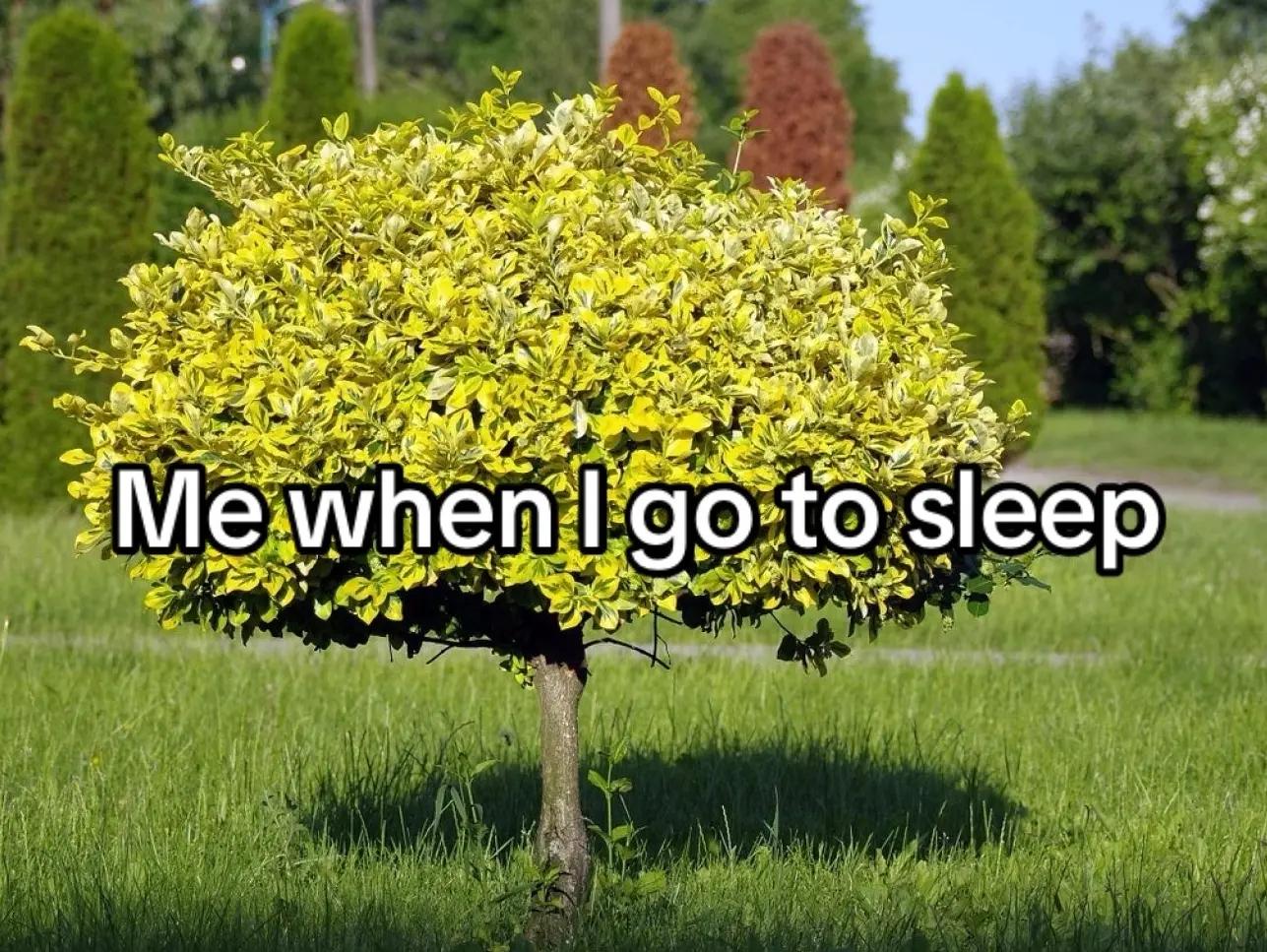 @mattedits