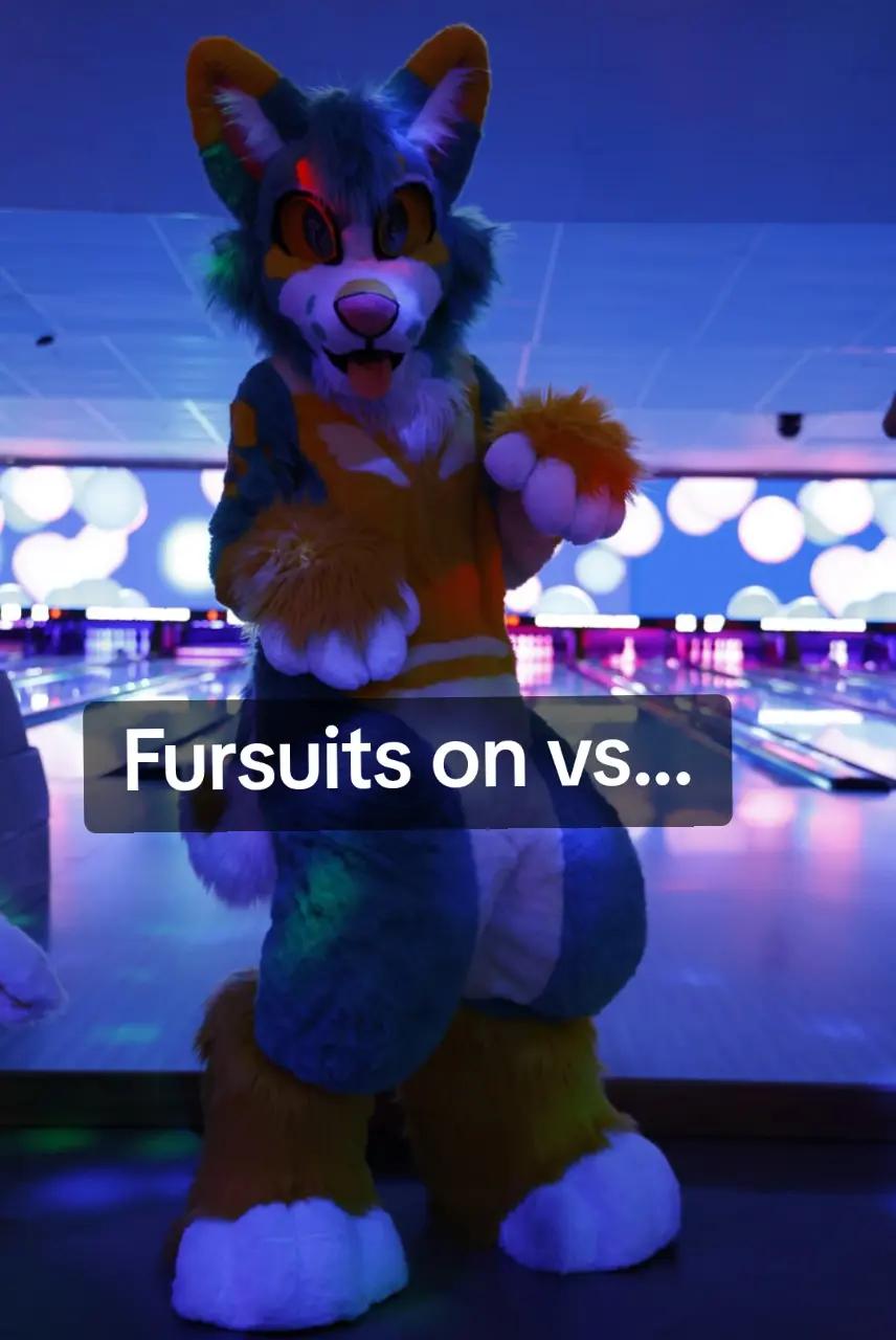 @★FrenziFox★ 🔜 Denfur '26