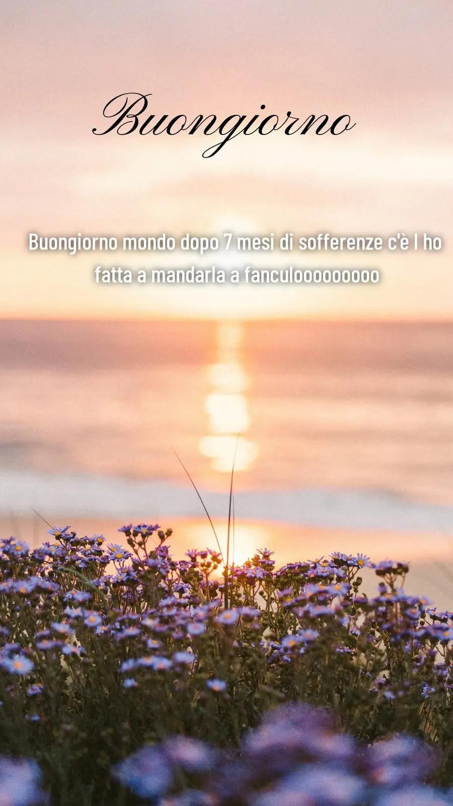 @꧁ঔৣ♡Giorgia_UwU♧☬ঔৣ꧂
