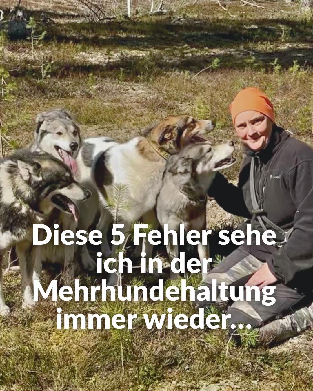 @Mehrere Hunde, ein Team!
